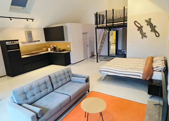 Bij De Salamandras Pensjonat 3*